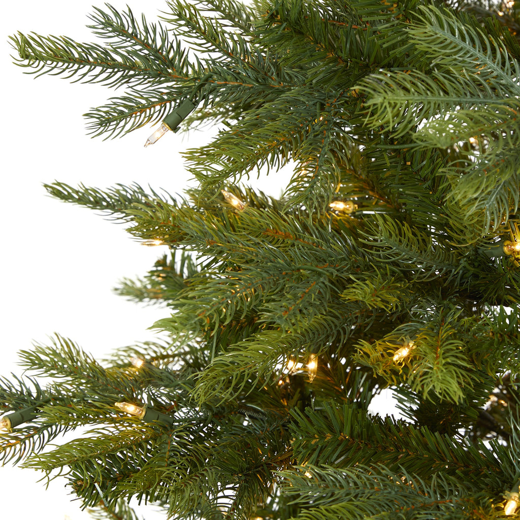 7' North Carolina Spruce Artificial Christmas Tree w 450 Clear Lights