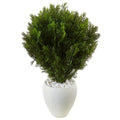 3' Cedar in Oval Textured Planter (Indoor/Outdoor)