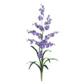 Dancing Lady Silk Orchid Flower (6 Stems)