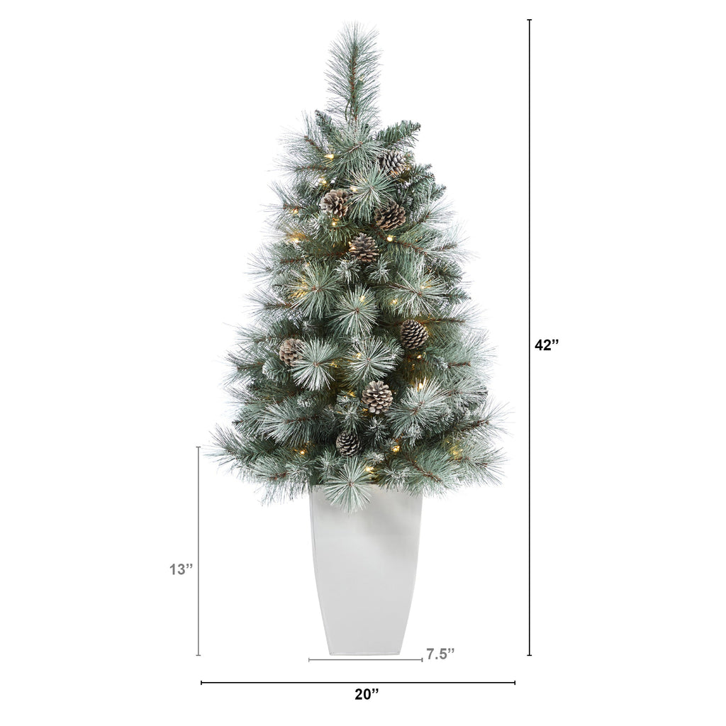 3.5' Frosted Tip British Columbia Mountain Pine Artificial Christmas Tree