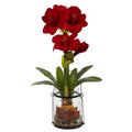 24"  Amaryllis w/Vase