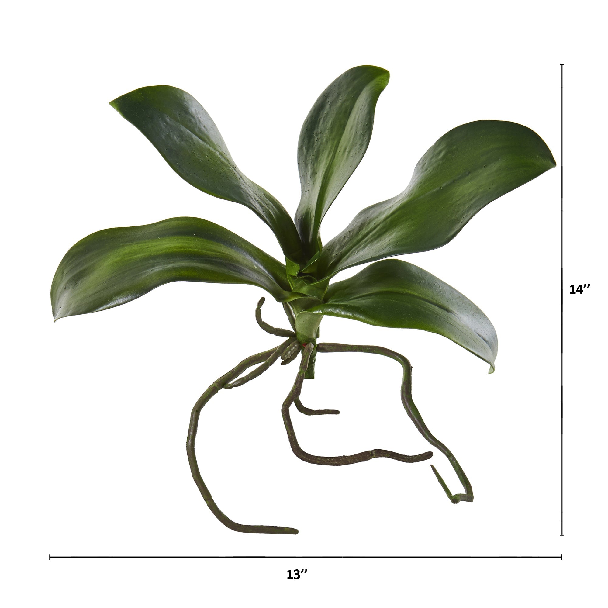 9" Phalaenopsis Orchid Leaf Artificial Flower (Set of 6)