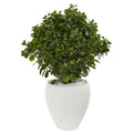 32" Peperomia Artificial Plant in White Planter UV Resistant (Indoor/Outdoor)