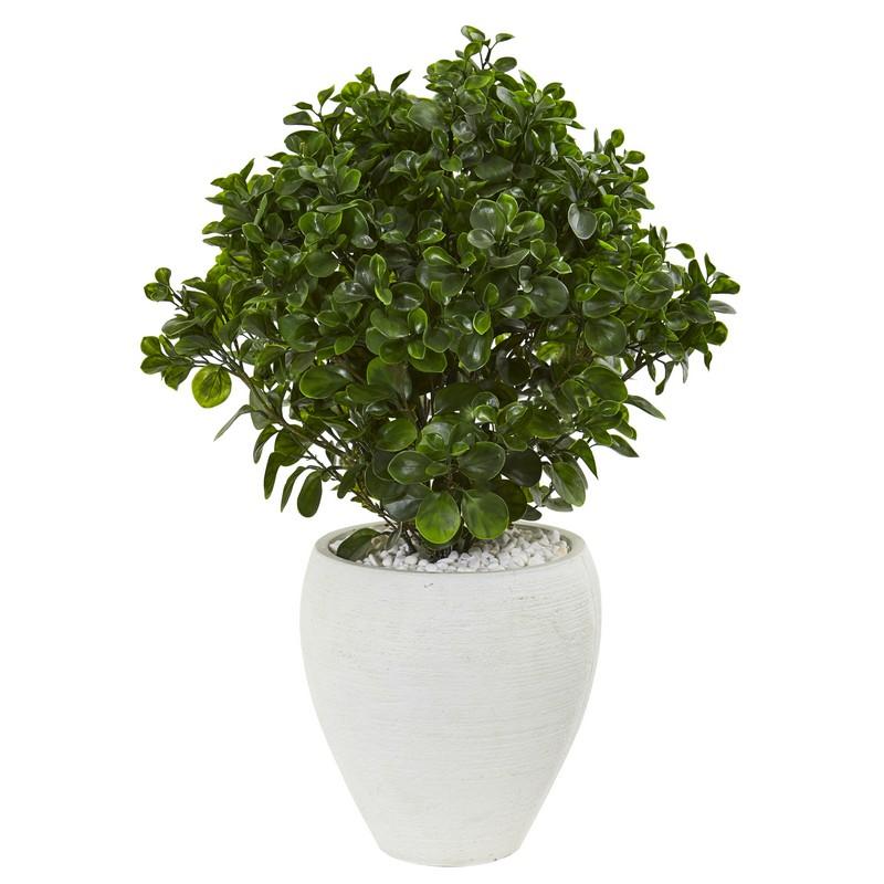 32" Peperomia Artificial Plant in White Planter UV Resistant (Indoor/Outdoor)
