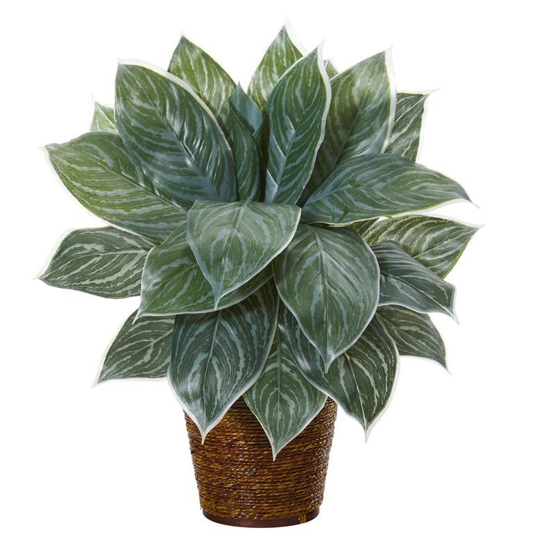 18"  Silver Aglonema Artificial Plant in Basket (Real Touch)