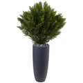 4' Cedar in Cylinder Planter (Indoor/Outdoor)