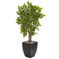 57"  River Birch Artificial Tree in Black Planter