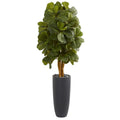 5.5' Fiddle Leaf Artificial Tree in Gray Cylinder Planter