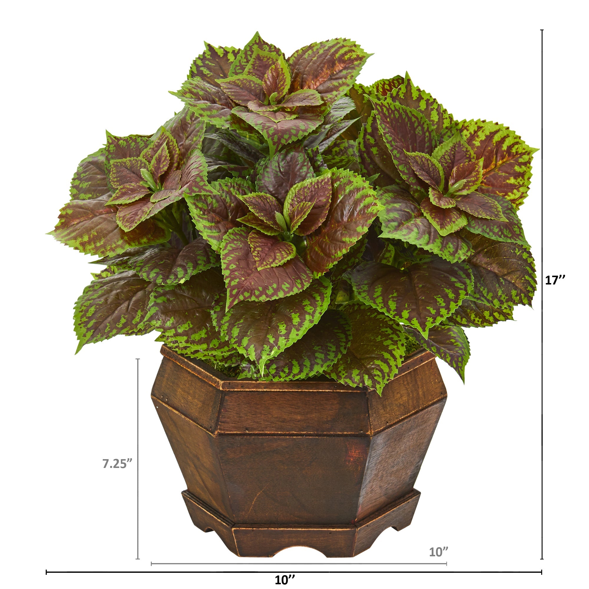 17" Coleus Artificial Plant in Decorative Planter (Real Touch)