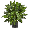 Silver King Artificial Plant in Black Glass Vase