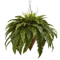 Giant Boston Fern with Cone Hanging Basket