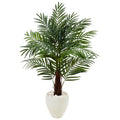 4.5' Areca Palm Tree in White Oval Planter