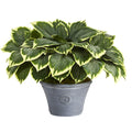 23" Variegated Hosta Artificial Plant in Gray Planter