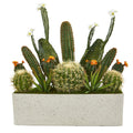 26" Succulent Garden Artificial Plant in White Planter