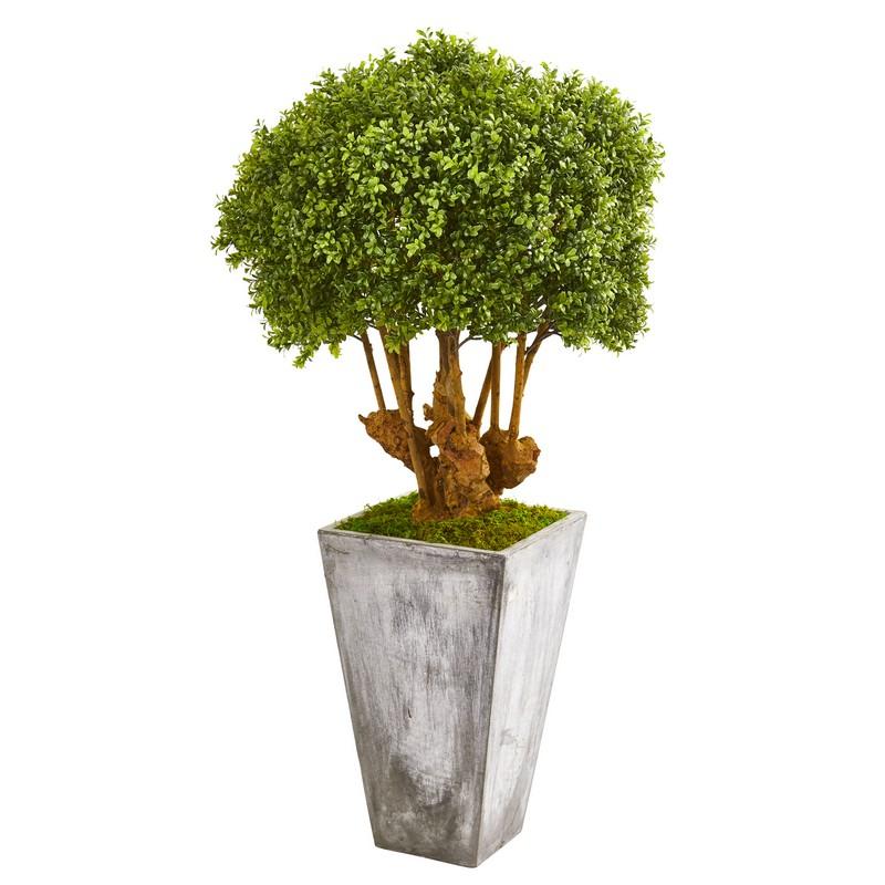 51"  Boxwood Artificial Topiary Tree in Cement Planter (Indoor/Outdoor)