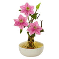 16" Anemone Artificial Arrangement in Gold and Cream Elegant Vase