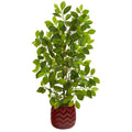 34" Ficus Artificial Tree in Decorative Red Planter