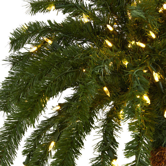 6' Christmas Palm Artificial Tree with 200 Warm White LED Lights