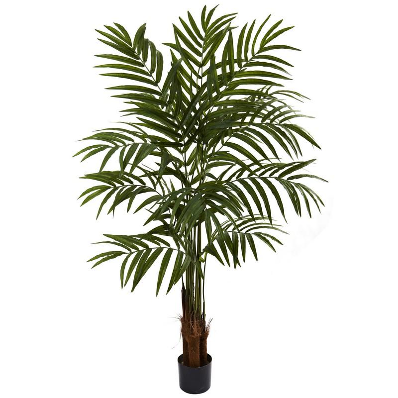 5" ' Big Palm Tree