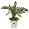 33"  Cycas Artificial Plant in White Planter