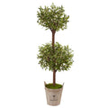 5' Olive Tree in Farmhouse Planter