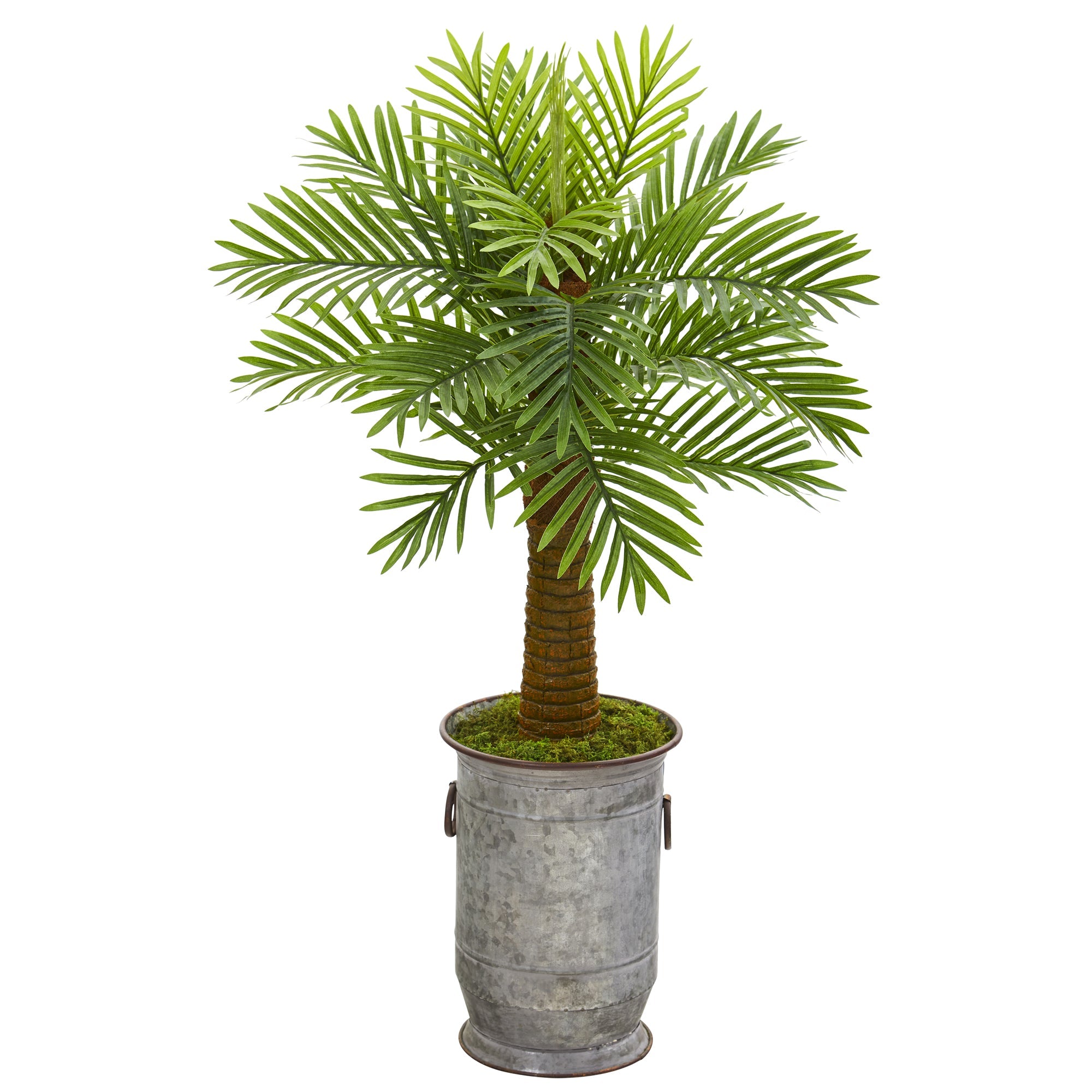 42" Robellini Palm Artificial Tree in Vintage Metal Planter