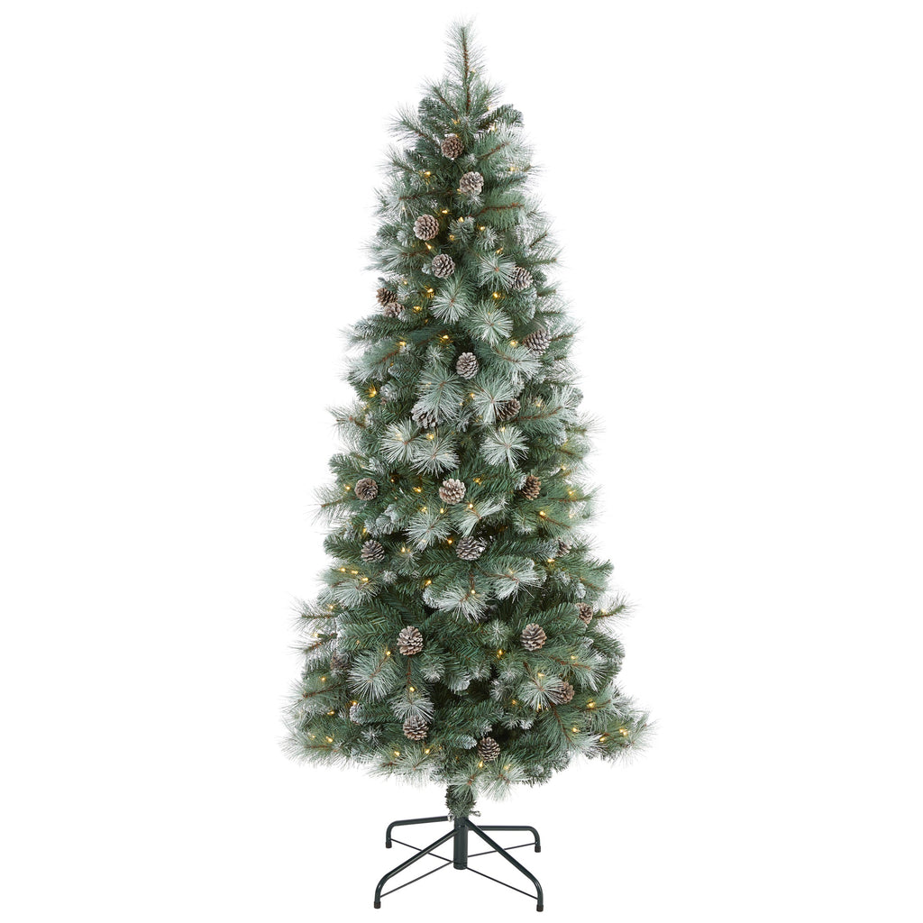 6' Frosted Tip British Columbia Mountain Pine Artificial Christmas Tree