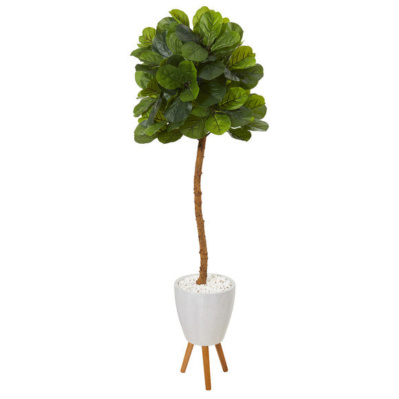 5.5' Fiddle Leaf Artificial Tree in White Planter with Stand (Real Touch)