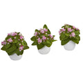8"  Kalanchoe Artificial Plant in White Vase (Set of 3)