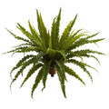 26" Asplenium Artificial Plant (Set of 2)