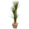 5' Yucca Artificial Tree in Terra Cotta Planter