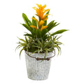 18"  Bromeliad and Succulent Artificial Plant in Metal Bucket