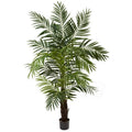 6' Areca Palm Tree
