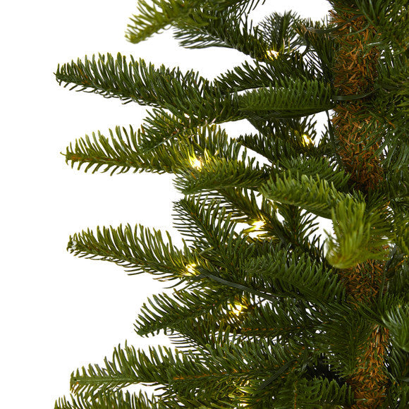 6' Alaskan Alpine Artificial Christmas Tree with 100 Clear Microdot