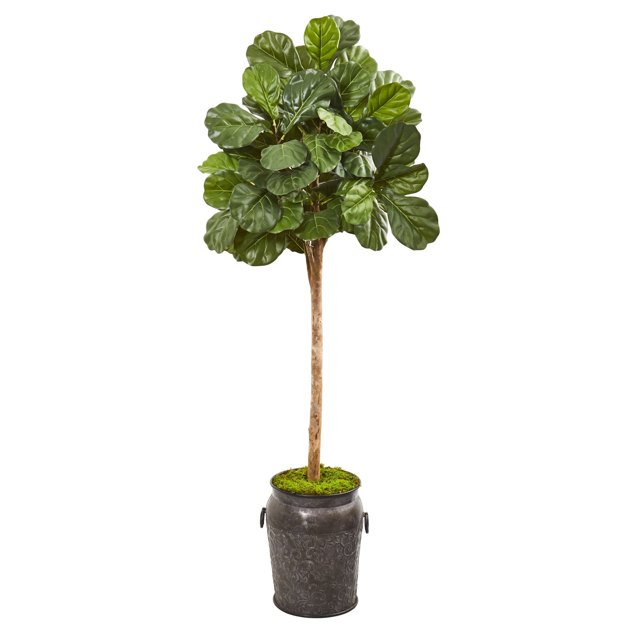 6' Fiddle Leaf Fig Artificial Tree in Metal Planter