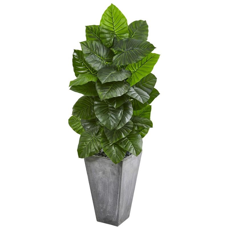 63"  Taro Artificial Plant in Tall Cement Planter