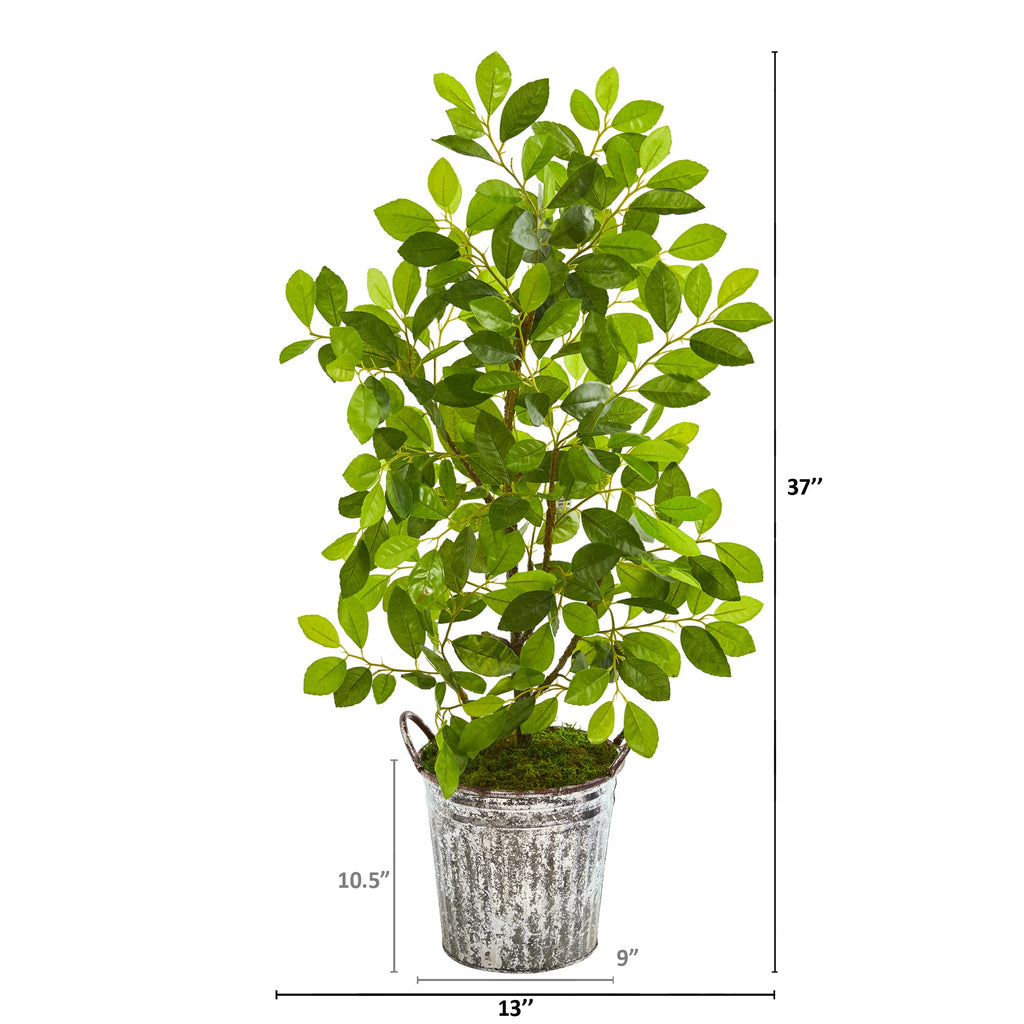 37" Mini Ficus Artificial Tree in White Washed Vintage Metal Pail