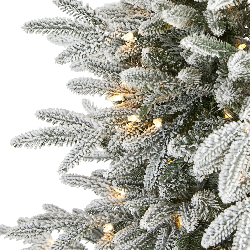 5.5' Flocked Manchester Spruce Artificial Christmas Tree with 200 Lights