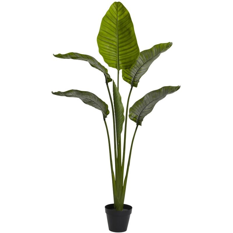 64"  Travellers Palm Tree UV Resistant (Indoor/Outdoor)