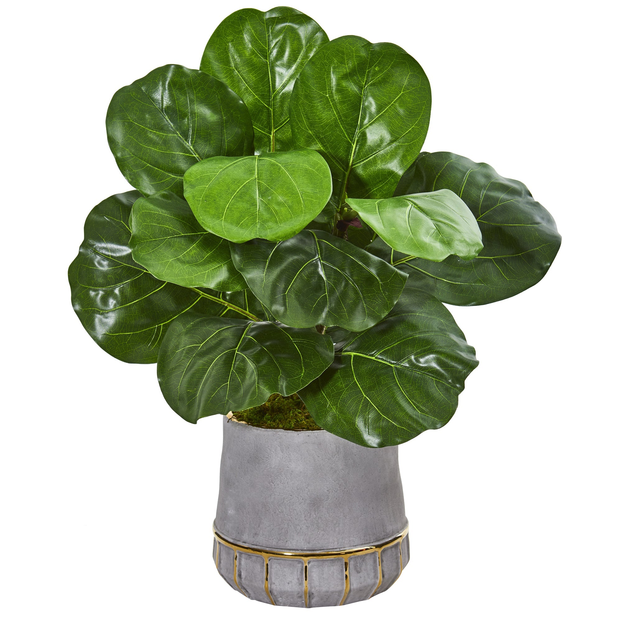 23"  Fiddle Leaf Artificial Plant in Stoneware Planter