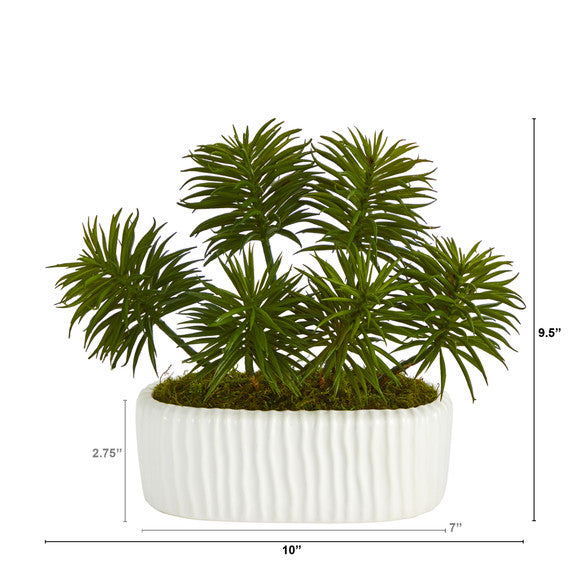 10" Succulent Artificial Plant in White Planter