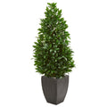 56"  Bay Leaf Cone Topiary Artificial Tree UV Resistant in Black Planter