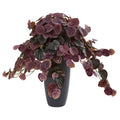 26"  Peperomia Artificial Plant in Decorative Planter (Real Touch)