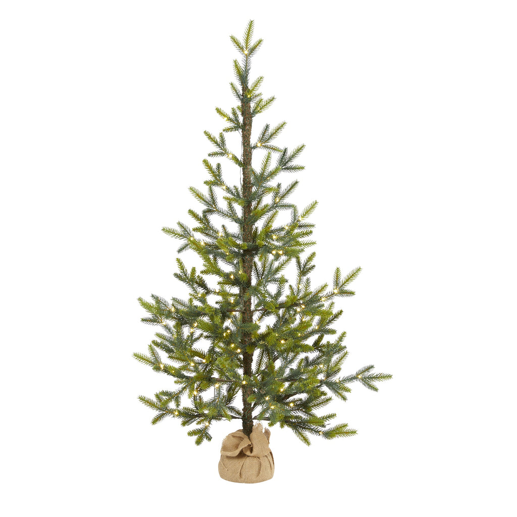 4' Fraser Fir 'Natural Look' Artificial Christmas Tree w/ 100 Clear LED Lights