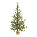 4' Fraser Fir 'Natural Look' Artificial Christmas Tree w/ 100 Clear LED Lights