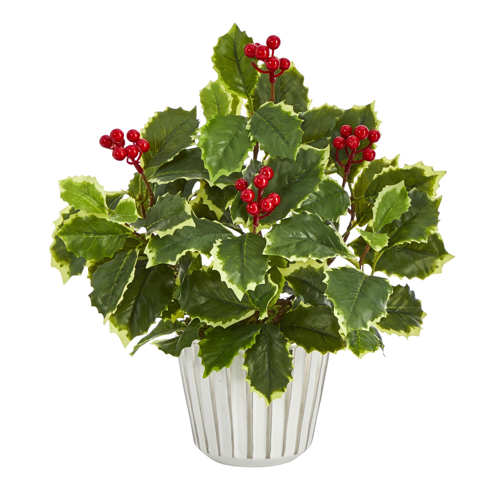 13" Variegated Holly Leaf Artificial Plant in White Planter w/ Silver Trimming