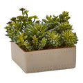 7"  Mixed Succulent Artificial Plant with Decorative Planter