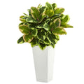 Variegated Rubber Artificial Plant in White Tower Planter  (Real Touch)