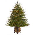 5.5' Colorado Mountain Pine Artificial Christmas Tree w/ 250 Clear Lights