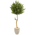 5.5' Olive Topiary Artificial Tree in Sand Colored Planter UV Resistant